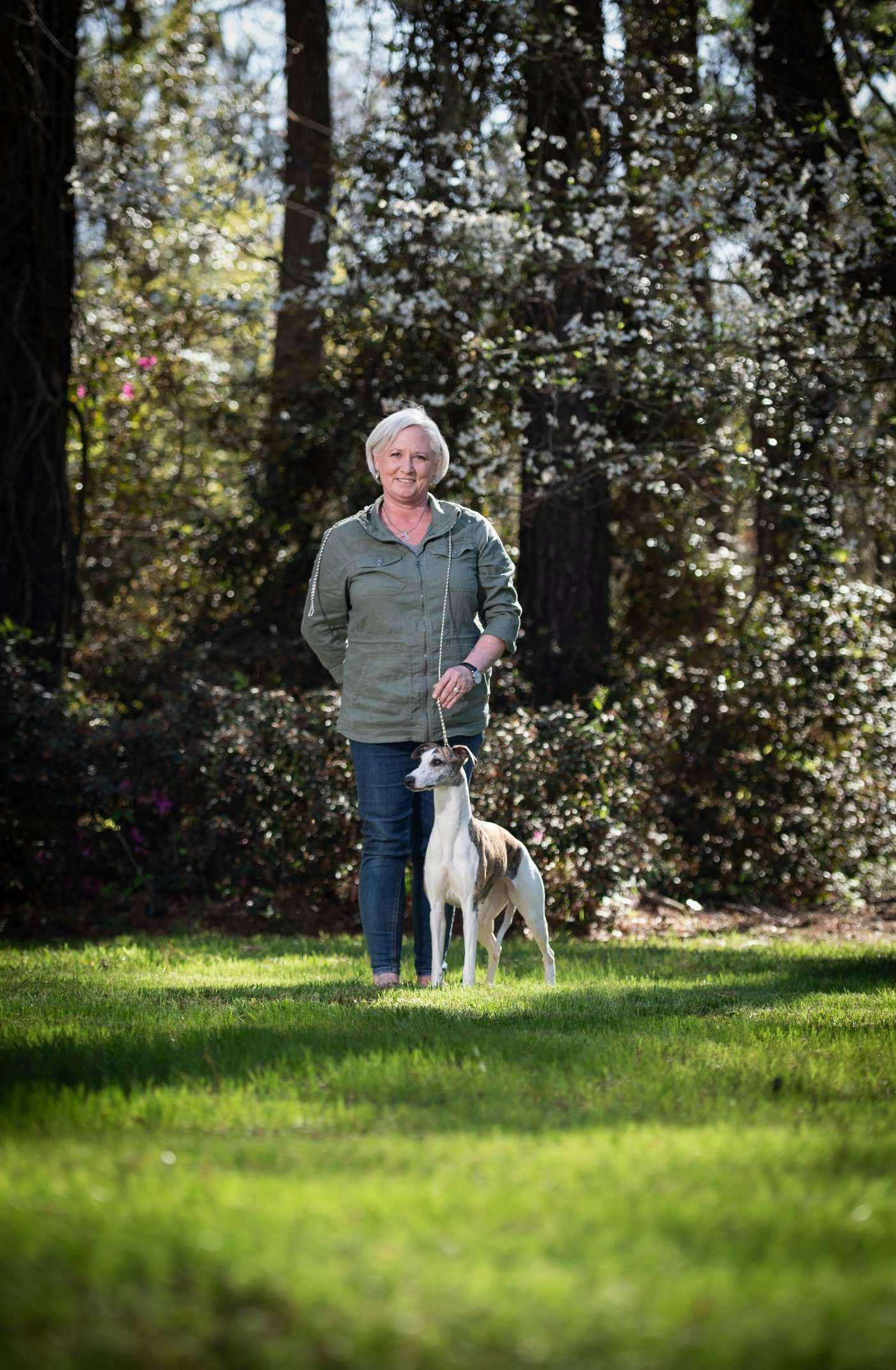 Breeding exceptional Whippets in the Low Country of South Carolina