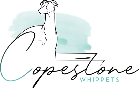 Copestone Whippets | "My Site"